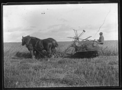 Archived Images\Photo images\Phd\7001P-7500P\7320P.jpg; 7320P; ;